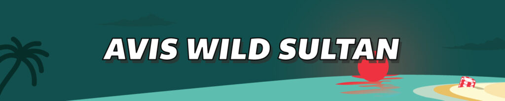 wild-sultan-casino-avis